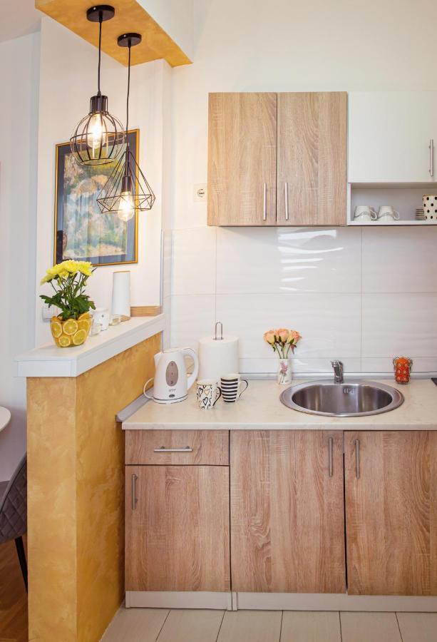 סרמסקה מיטרוביקה Apartman Mia מראה חיצוני תמונה